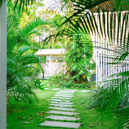 Olivia Del Caribe Suite Puerto Viejo de Talamanca Eksteriør bilde