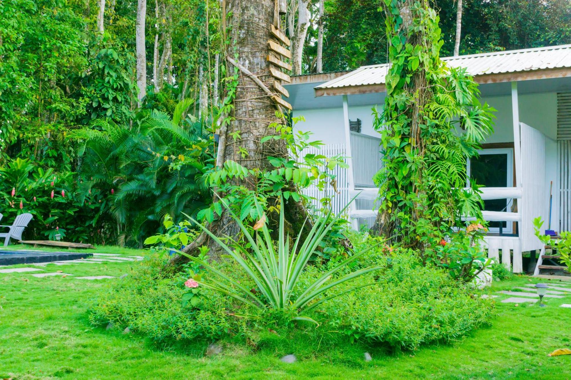 Olivia Del Caribe Suite Puerto Viejo de Talamanca Eksteriør bilde