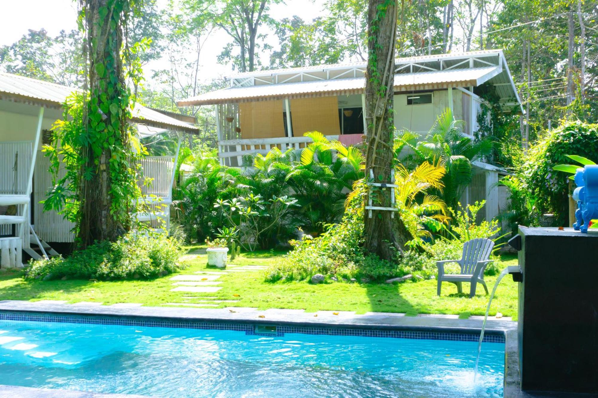 Olivia Del Caribe Suite Puerto Viejo de Talamanca Eksteriør bilde