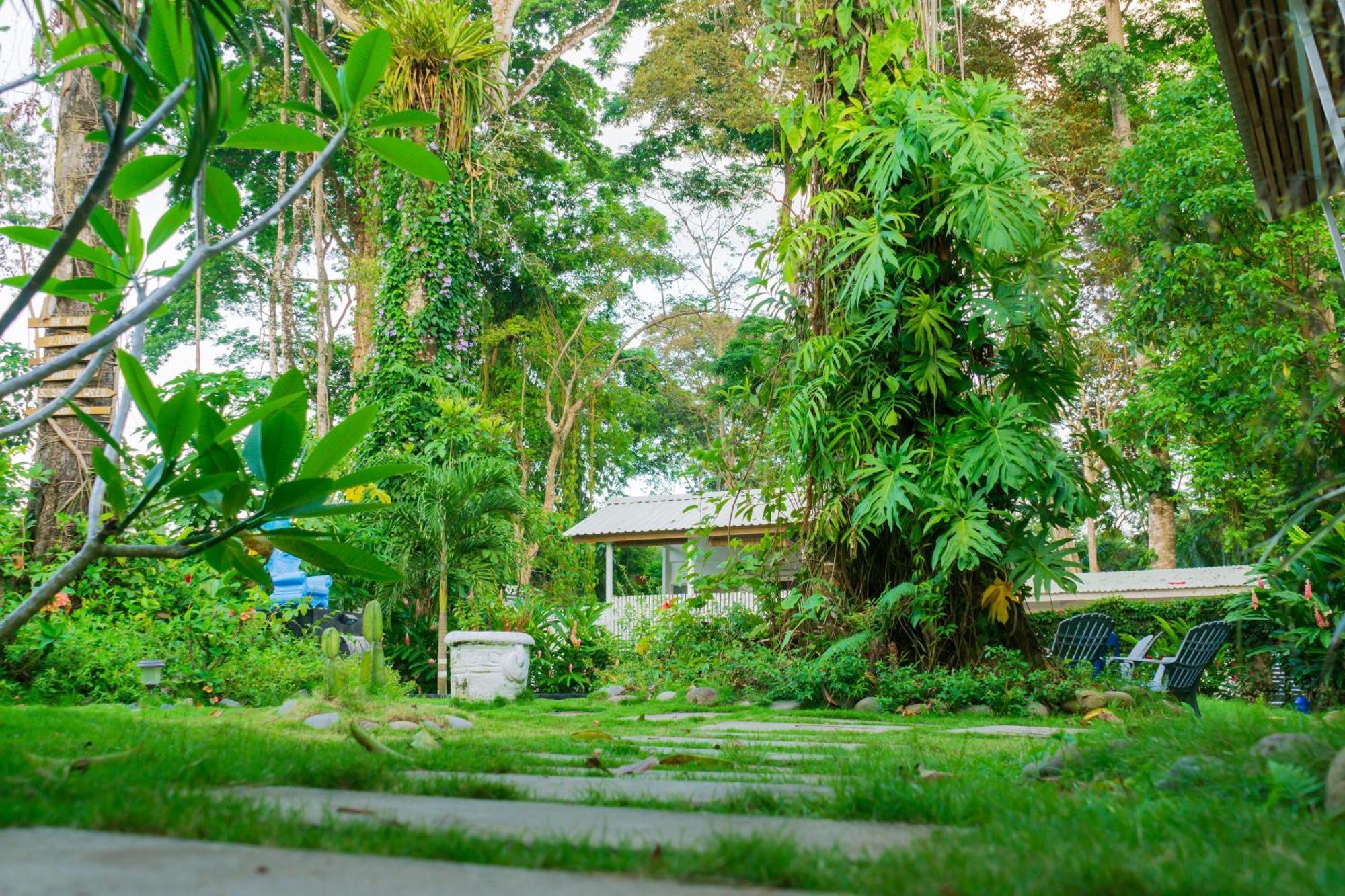 Olivia Del Caribe Suite Puerto Viejo de Talamanca Eksteriør bilde