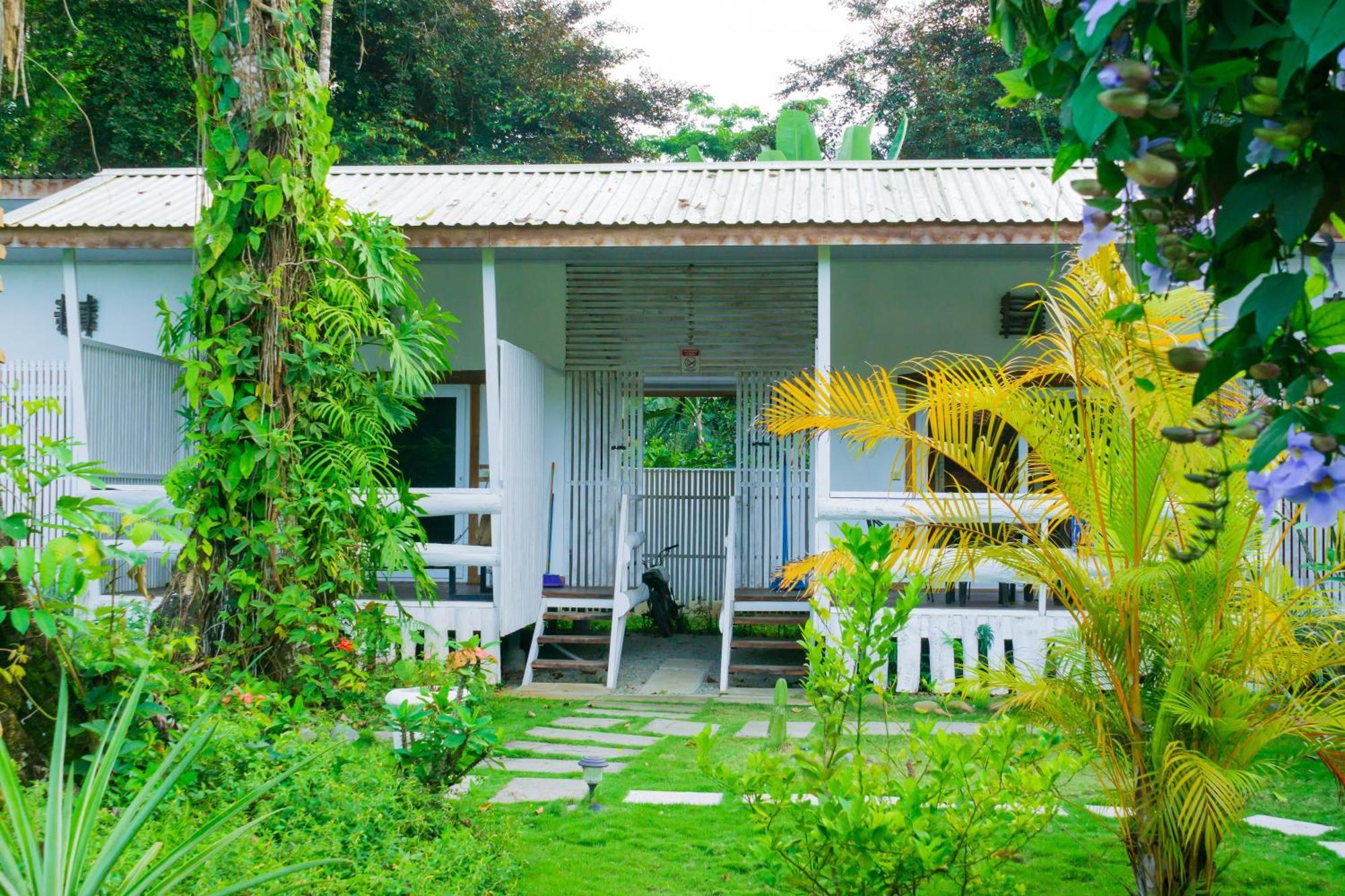 Olivia Del Caribe Suite Puerto Viejo de Talamanca Eksteriør bilde