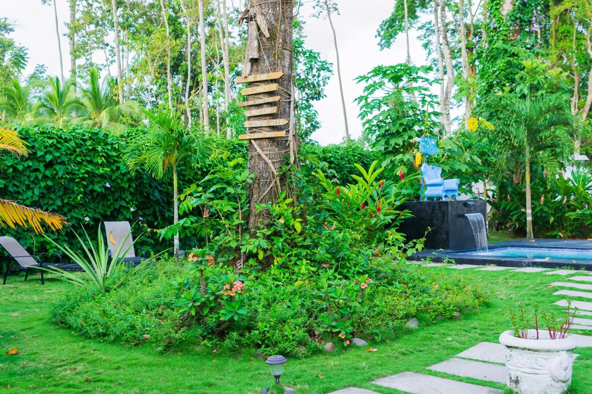 Olivia Del Caribe Suite Puerto Viejo de Talamanca Eksteriør bilde