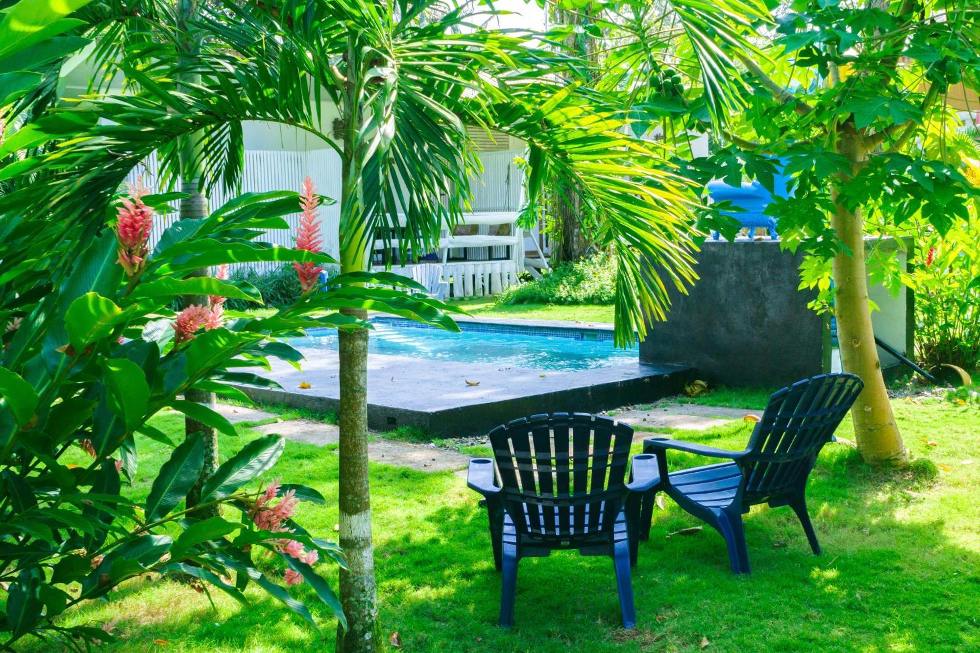 Olivia Del Caribe Suite Puerto Viejo de Talamanca Eksteriør bilde