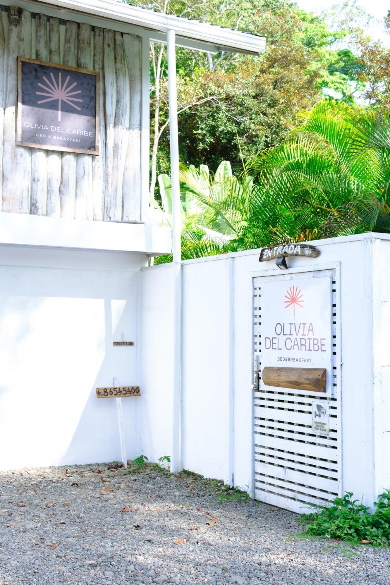Olivia Del Caribe Suite Puerto Viejo de Talamanca Eksteriør bilde