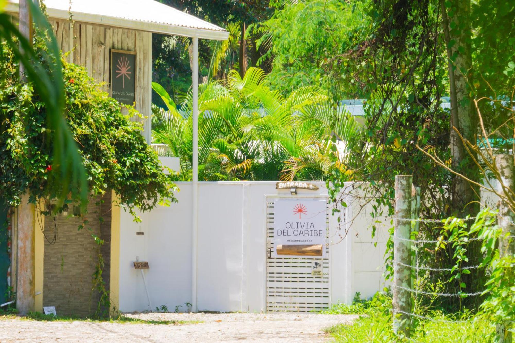 Olivia Del Caribe Suite Puerto Viejo de Talamanca Eksteriør bilde